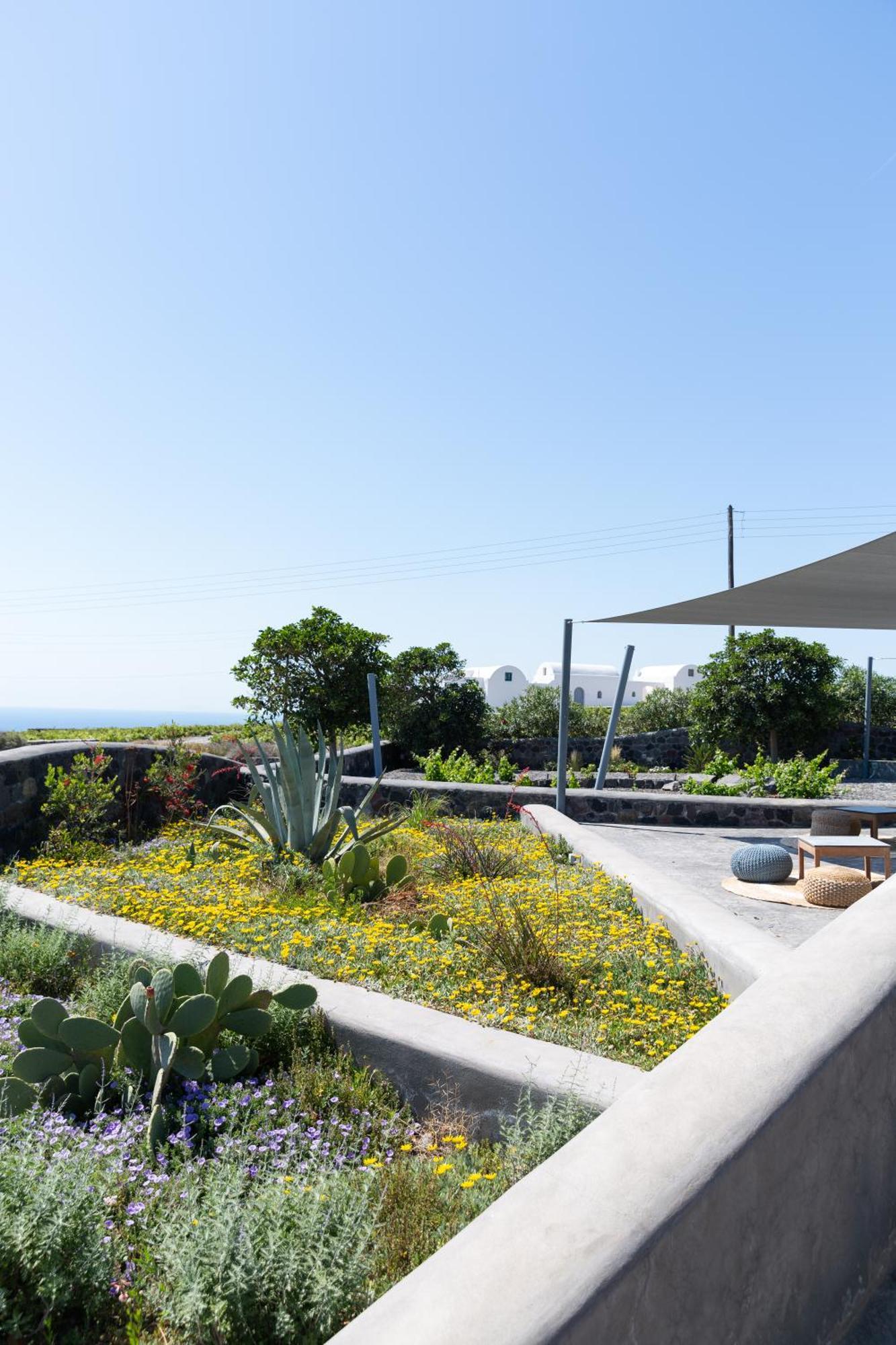 Soil Of Sun Luxury Villas Megalochori  Eksteriør bilde