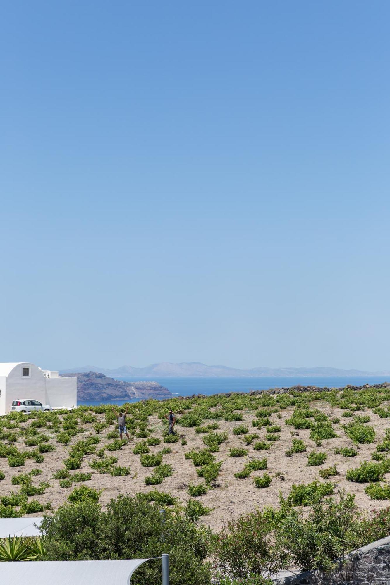 Soil Of Sun Luxury Villas Megalochori  Eksteriør bilde